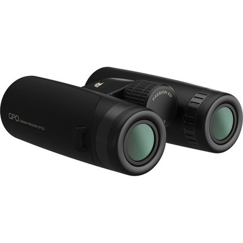 GPO USA 8x56 Passion ED Binoculars - Image 2